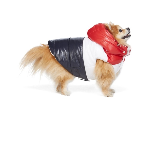 dog jacket moncler
